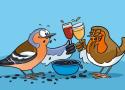 Dispos pour nos Apéro-Faune ?