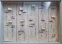 La collection d’odonates de Léandre Pidancet (1824-1888) au musée de Poligny (Jura)