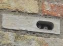 Edward Mayer (Swift Conservation) nous en dit plus sur les briques-nichoirs pour martinets
