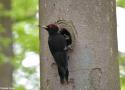 18ème édition de la Fête de la Nature en France du 22 au 26 mai 2024