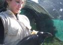 Aurélie Amiault (Faune et Savoir) nous en dit plus sur les problèmes de prise en charge des oiseaux blessés et sur les premiers gestes à adopter
