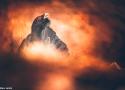 5ème festival de photo nature des Franches-Montagnes (Suisse) du 15 au 17 décembre 2023