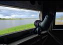 Observer les oiseaux dans le marais de Grée (Loire-Atlantique), une vaste zone inondable liée à la Loire