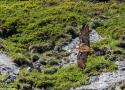 20ème Festival Nature des Réserves Naturelles Catalanes (Pyrénées-Orientales) jusqu’au début du mois d’octobre 2025