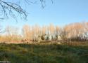 Observer les oiseaux dans la base nature François Léotard à Fréjus (Var), un ancien site militaire ouvert au public