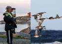 Le bâton finlandais ou « finnstick », un accessoire simple pour observer longuement les oiseaux