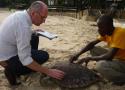 L’art de la squelettochronologie : outils et limites chez les tortues marines