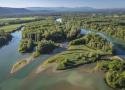 Étude des dynamiques végétales des hydrosystèmes du Haut-Rhône au cours des quarante dernières années par analyse comparative de cartographies de végétation