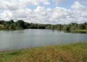 Bivalves des étangs des Espaces naturels sensibles du Maine-et-Loire : diversité et étude pilote sur la détection par analyse de l’ADNe